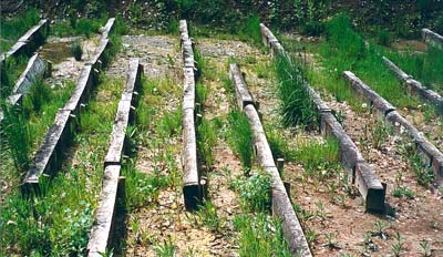 La zone naturelle de dissipation permet un traitement de finition qui permet souvent d'atteindre le 0 % rejet. Assainissement rustique simple et peu cher.