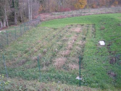 Cette station d'une capacité de 400 E.H est implantée à proximité d'un ruisseau de faible débit d'étiage.